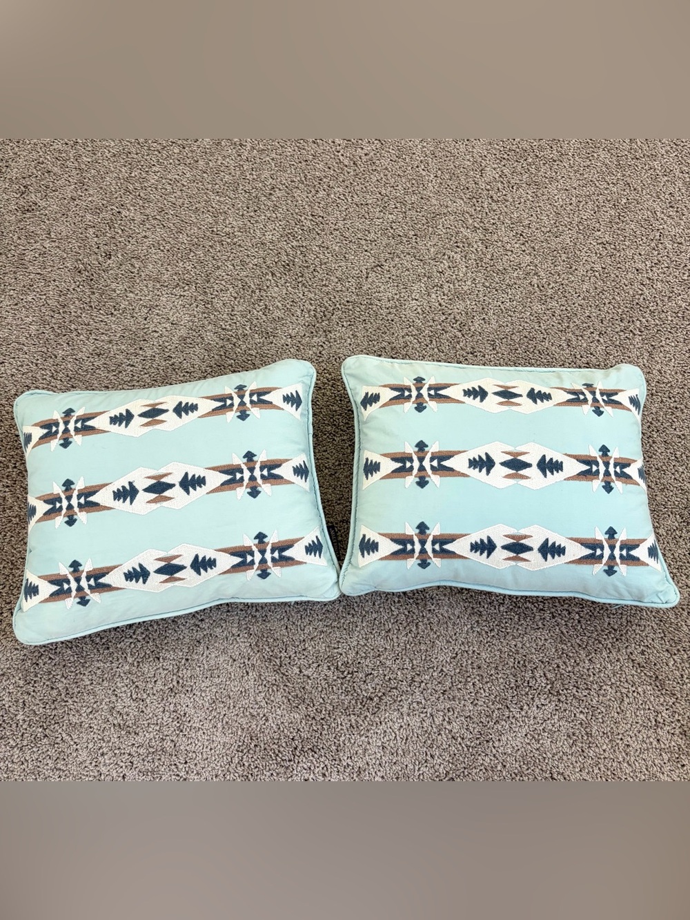 (2) Pendleton Throw Pillows